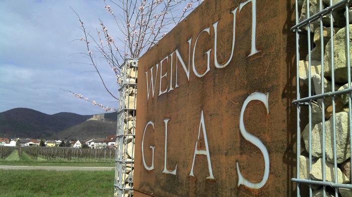 Gaestehaus Weingut Glas Neustadt an der Weinstraße Esterno foto